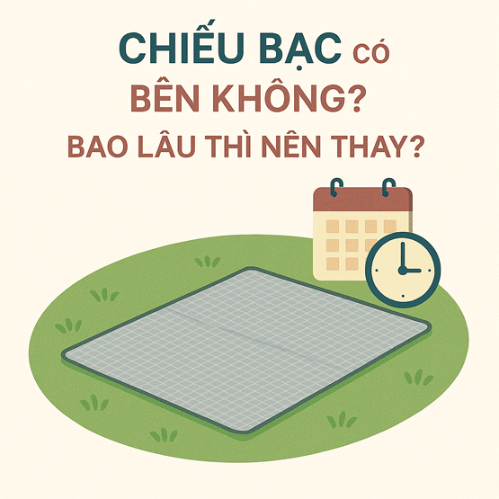 Chiếu bạc có bền không? Bao lâu thì nên thay?