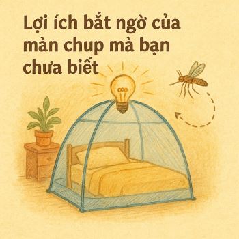 Lợi ích bất ngờ của màn chụp mà bạn chưa biết