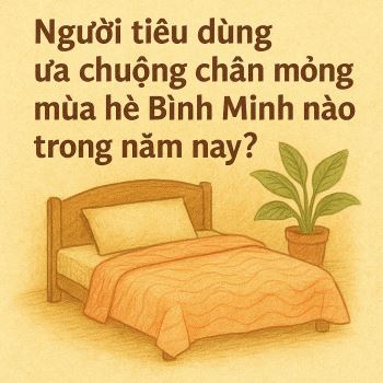 Người tiêu dùng ưa chuộng chăn mỏng mùa hè Bình Minh nào trong năm nay?