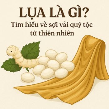 Lụa là gì? Tìm hiểu về sợi vải quý tộc từ thiên nhiên